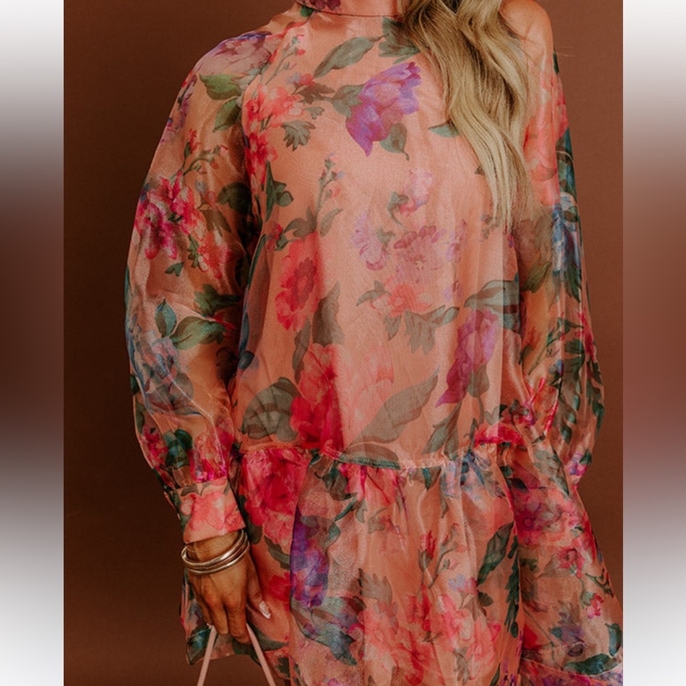 Sweet serenade Floral Organza Mini Dress - Picture 4 of 9